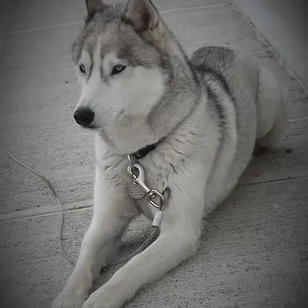 Oda ve Kahvaltı Cois Na Habhann Doolin