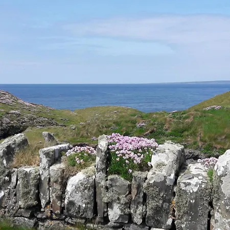 Bed & Breakfast Cois Na Habhann Doolin