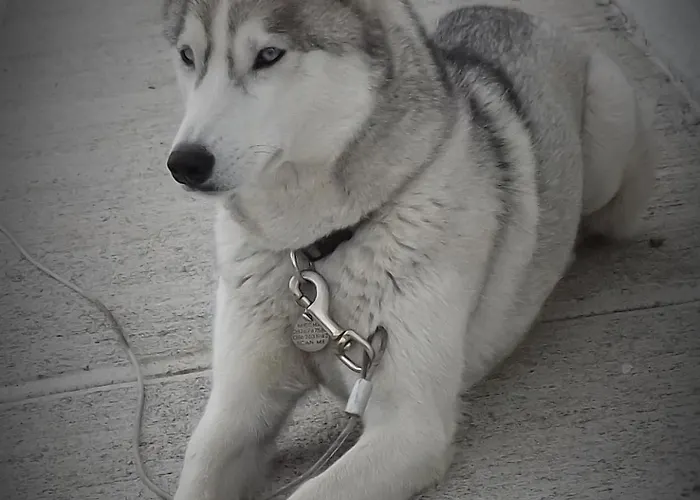 Bed & Breakfast Cois Na Habhann Doolin