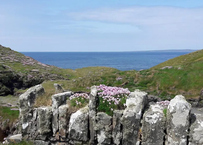 Bed & Breakfast Cois Na Habhann